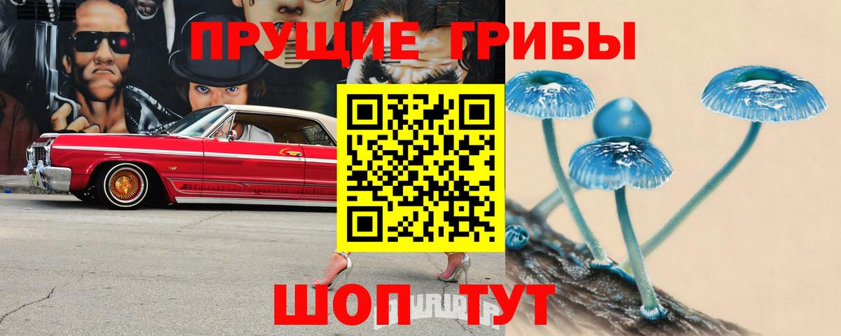 Галлюциногенные грибы MAGIC MUSHROOMS Киров
